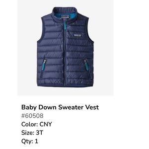 EUC 3T Patagonia Baby Down Sweater Vest
